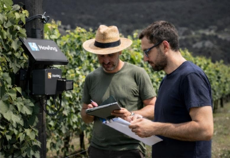 Tecnici Howing al lavoro nel vigneto